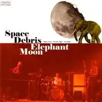 Space Debris (GER) : Elephant Moon